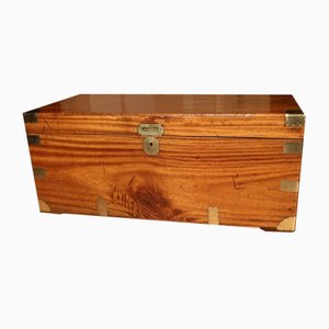 Kampferholz Box