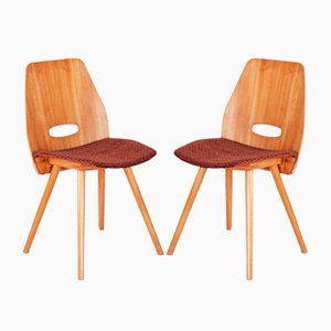 Mid-Century Czech Dining Chairs from Tatra Furniture. Jirár, 1950s, Set of 2