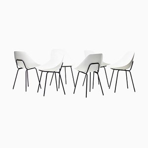 Shell Chairs by Pierre Guariche, Set of 6