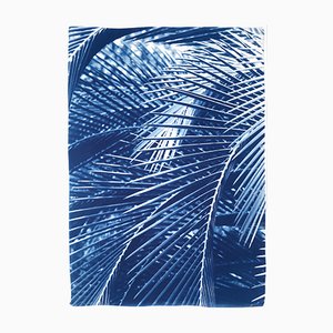 Kind of Cyan, Majesty Palm Pattern, 2021, Cyanotype