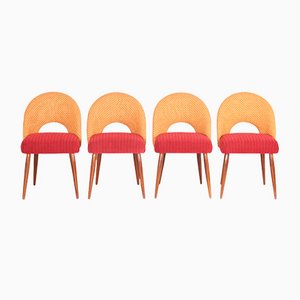 Mid-Century Czechoslovak Chairs, Set of 4