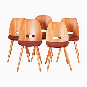 Mid-Century Czech Dining Chairs by František Jirák for Tatra Furniture, 1950s, Set of 5