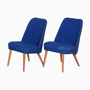 Blaue Mid-Century Armlehnstühle aus Eschenholz, 1950er, 2er Set