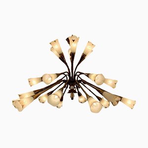 French Chandelier with Sevre Cala Shades by Gênet et Michon, 1950s