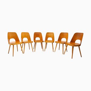 Mid-Century Dining Chairs by Radomír Hofman for Ton, 1960s, Set of 6