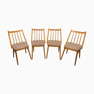 Mid Century Dining Chairs by Antonín Šuman for Mier, 1960s, Set of 4