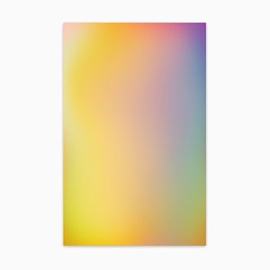Paul Snell, Bleed #, 202124, 2020, Acrylglas & C-Print