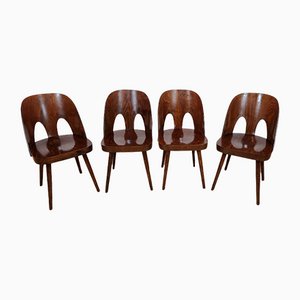 Dining Chairs by Oswald Haerdtl, Set of 4