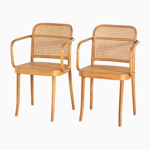 Thonet A811 Armchair by Josef Frank for Thonet