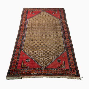 20th Century Hand Knotted Middle Eastern Wool Rug