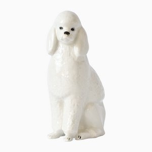 Figurine Caniche en Porcelaine de Lomonosov, Russie, 1960s