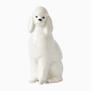 Russian Porcelain Poodle Figurine from Lomonosov, 1960s
