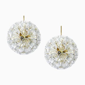 Glass and Brass Floral Sputnik Chandeliers, Germany, 1960s