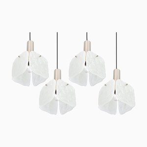 Small Murano Pendant Lights from Kalmar, Austria, 1970s