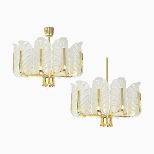Lampadario con foglie in vetro di Murano di Carl Fagerlund per Orrefors, 1960