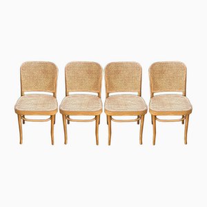 Prague Chairs by Josef Hoffmann for Thonet, Set of 4