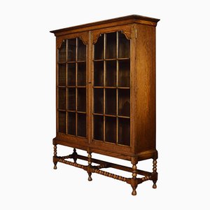 Oak 2-Door Bookcase