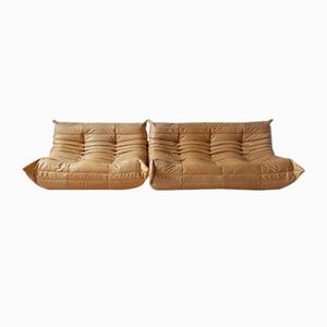 Camel Leather Togo 2-Seat & 3-Seat Sofa Set by Michel Ducaroy for Ligne Roset, 1970s, Set of 2