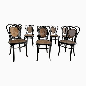 Viennese Chairs N.33 by J & J Kohn, 1900, Set of 8