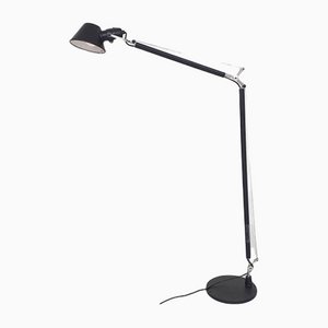 Tolomeo Floor Lamp by Giancarlo Fassina and Michele De Lucchi for Artemide, Italy