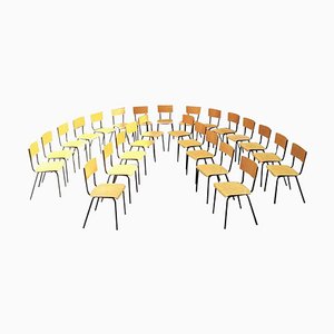 Mid-Century Modern Italian Beech and Metal School Chairs, 1960s, Set of 20
