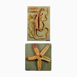 Didactic Molding by Dr. Louis Auzoux, Set of 2