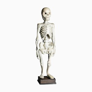 Esqueleto humano de pie esculpido en madera, Sureste de Asia, siglo XX