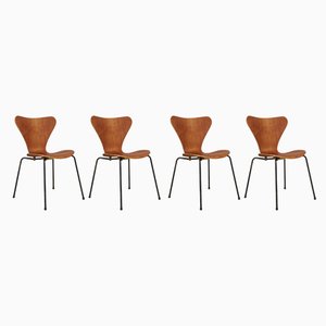 Teak Veneer 3107 Side Chairs by Arne Jacobsen for Fritz Hansen, 1972, Set of 4