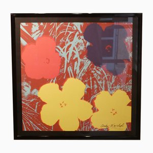 Andy Warhol for C.M.O.A., Flowers, Numbered 1534/2400, Pittsburgh, 1964, Lithograph, Framed