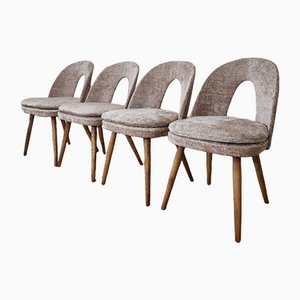 Dining Chairs by Antonín Šuman, Set of 4