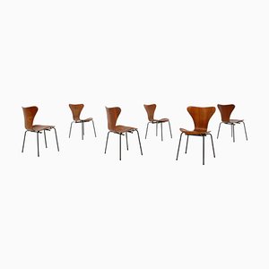 Sedie di Arne Jacobsen per Brazil Airline, anni '50, set di 6