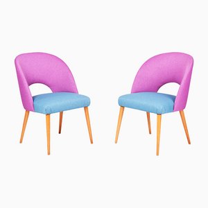 Mid-Century Czech Pink and Blue Beech Armchairs, 1950s, Set of 2
