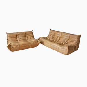 Camel Leather Togo 2-Seat & 3-Seat Sofa Set by Michel Ducaroy for Ligne Roset, 1970s, Set of 2