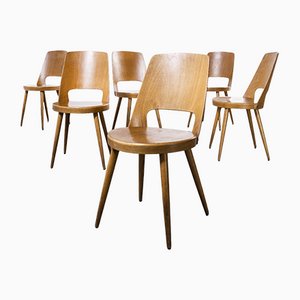 French Blonde Beech & Bentwood Dining Chairs Mondor from Baumann, 1950s, Set of 6