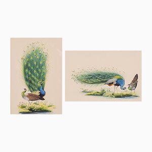 Pfau Goauches, 2er Set