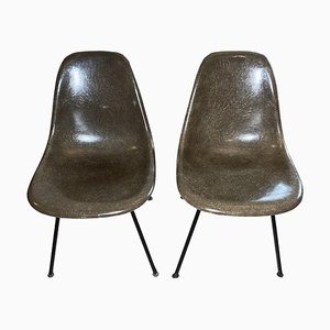 Brown Fiberglass Chairs by Eames for Herman Miller, Set of 2