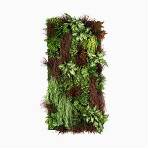 Modular Rata Wall Vertical Garden Panel from VGnewtrend