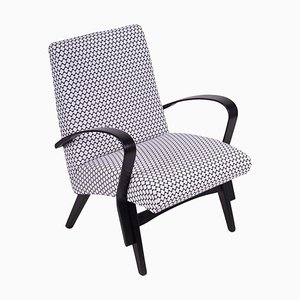 Fauteuil Mid-Century Noir et Blanc, République Tchèque, 1950s