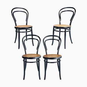 Early 20th Century Neapolitan Ebonized Chairs by Michael Thonet for Sautto & Liberale, Set of 4