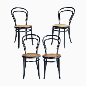 Sillas napolitanas ebonizadas, principios del siglo XX de Michael Thonet para Sautto & Liberale. Juego de 4