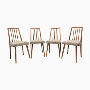 Mid-Century Czech Dining Chairs, 1960s, Set of 4