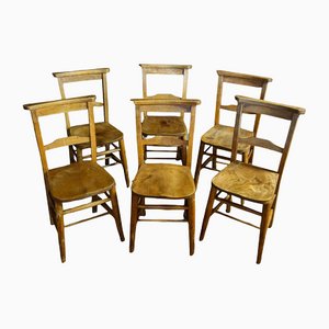 Antike Stühle aus Eiche, 1910, 6er Set