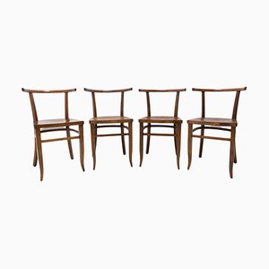 Czechoslovak Chairs, 1920s, Set of 4
