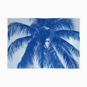 Coconut Palm Tree, 2021, Print