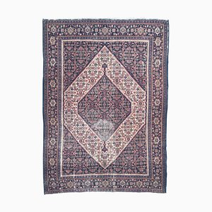 Tapis Seneh Antique, Kurde