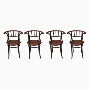 Bentwood Chairs, Early 20th Century, Set of 4