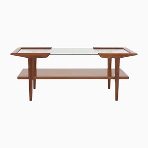 Brazilian Wood and Glass Coffee Table by Martin Eisler, 1950s
