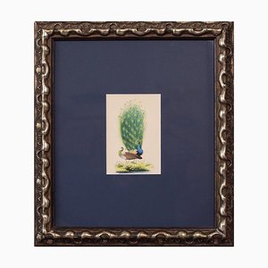 Peacock Paintings, 20th-Century, Gouache on Paper, Set of 2