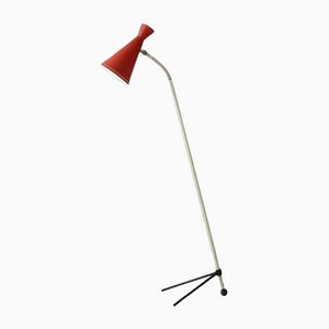 Pinocchio Floor Lamp by H. Busquet for Hala