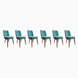 French Bentwood Beech Dining Chairs, 1950s, Set of 6